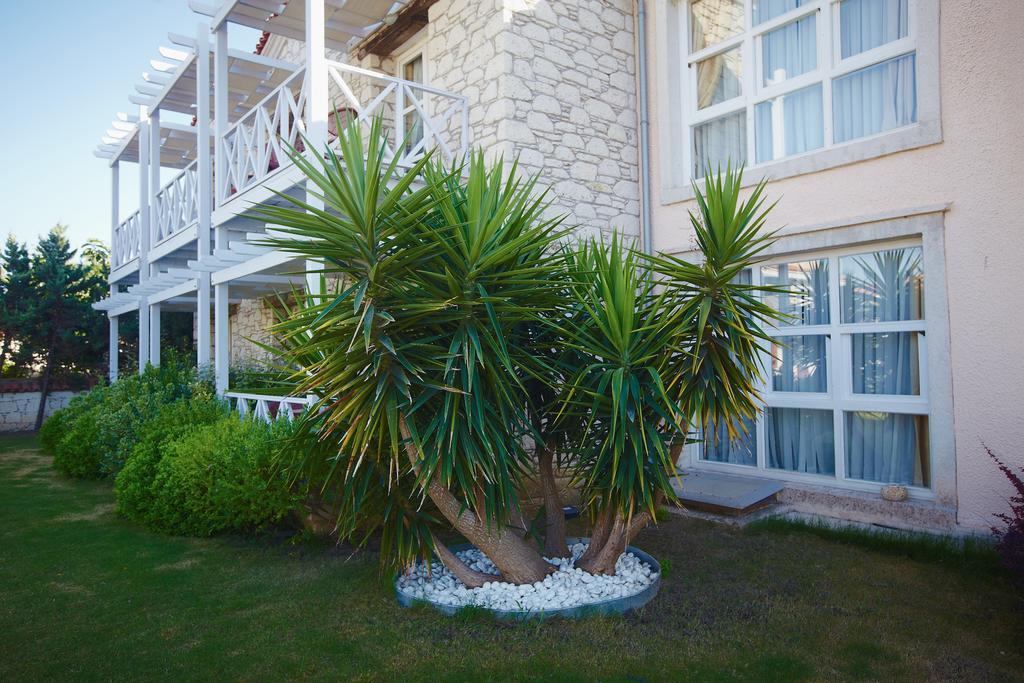 Casa Oliva Alacati - Adults Only 14 Plus Εξωτερικό φωτογραφία